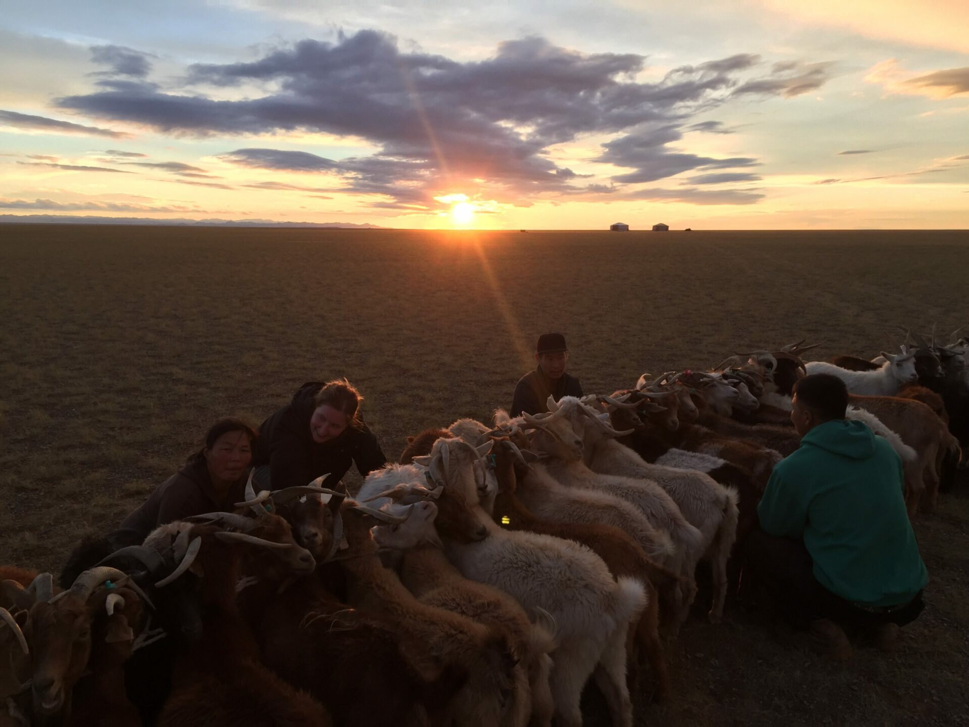 temoignage voyage mongolie podcast frenchies autour du monde